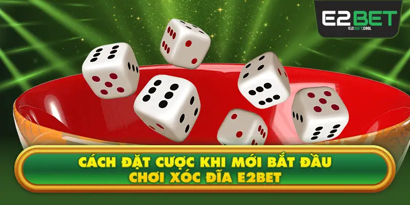 Cách Đặt Cược Khi Mới Bắt Đầu Chơi Xóc Đĩa E2BET