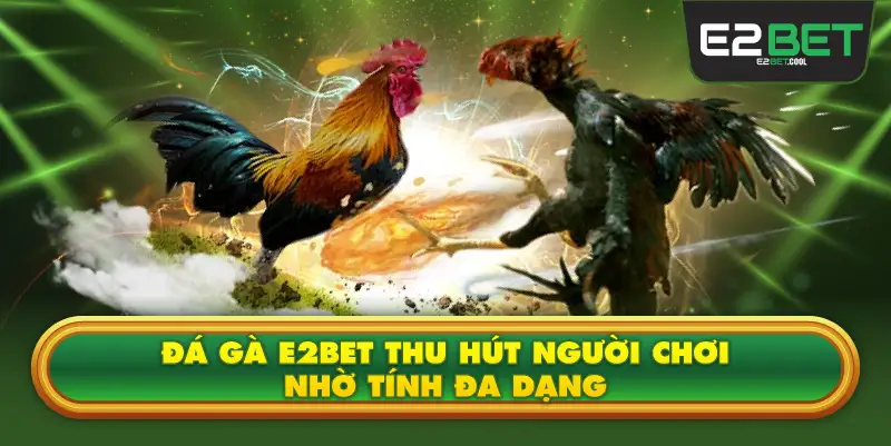 Đá Gà E2BET Thu Hút Người Chơi Nhờ Tính Đa Dạng