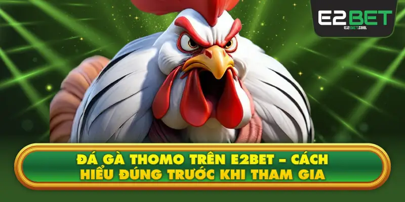 Đá Gà Thomo Trên E2BET – Cách Hiểu Đúng Trước Khi Tham Gia